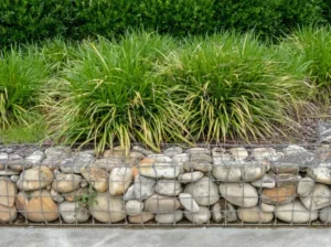 Mur de Gabion, herbe ornementale et buissons élagués se couvrent dans le design urbain.